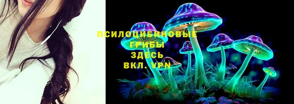 молекула духа Абинск
