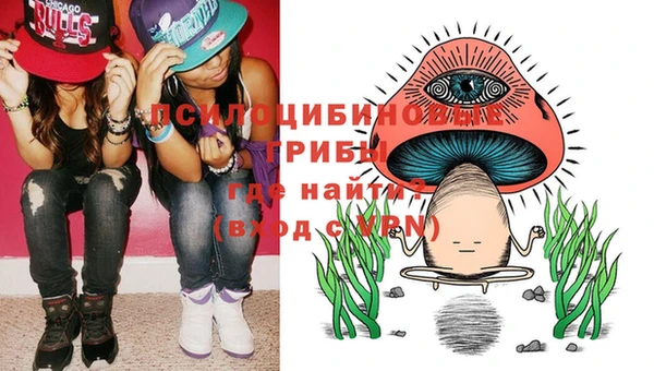 spice Алзамай