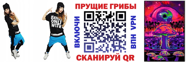 Галлюциногенные грибы Psilocybe  Яровое 